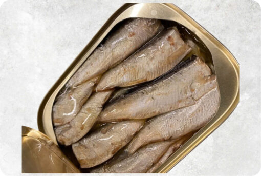 Canned Sardine And Canned Mackerel With Tomato Sauce