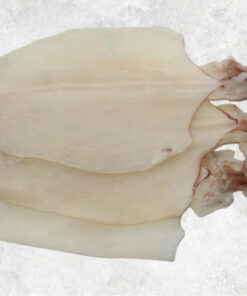 Dried Loligo Squid