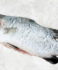 frozen-barramundi-whole-clean-sea-bass