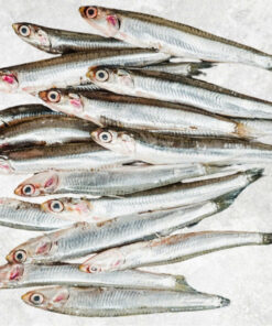 frozen-black-and-white-anchovy-whole-round