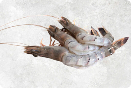 Frozen Raw Hoso Butterfly Black Tiger Shrimp