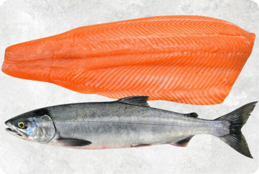 1-frozen-chum-salmon-supplier-exporter-vietnam.jpg Frozen Chum Salmon