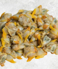 frozen-cooked-yellow-clam-meat