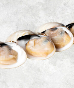 frozen-cooked-half-shell-white-clam