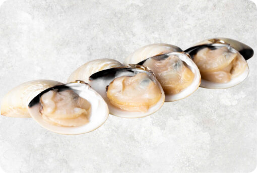 Frozen Cooked Half Shell White Clam