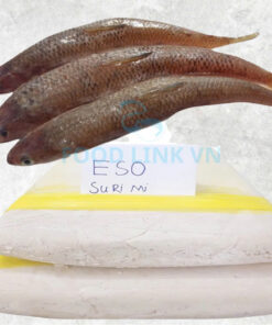 frozen-eso-surimi-frozen-lizard-fish-surimi