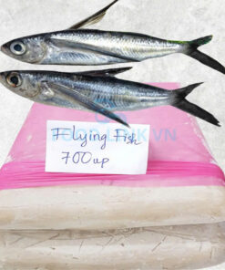 frozen-flying-fish-surimi-frozen-tobiuo-surimi