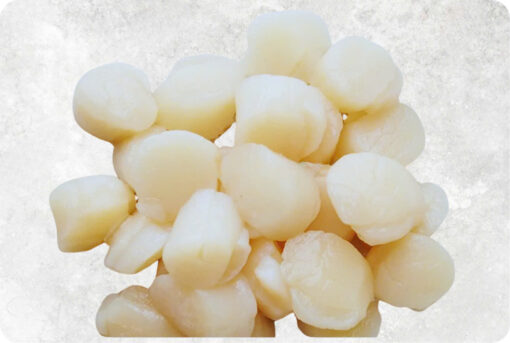 1-frozen-hokkaido-scallop-meat-supplier-exporter-vietnam.jpg Frozen Hokkaido Scallop Meat