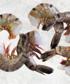 frozen-raw-hlso-and-hlso-ezp-black-tiger-shrimp