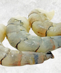 frozen-raw-pd-black-tiger-shrimp