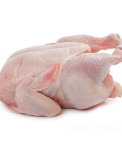 wholesale-halal-frozen-whole-chicken
