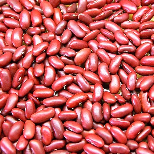 UTB82e5NlVPJXKJkSahVq6xyzFXa2.jpg Red Kidney Beans