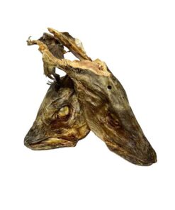dry-stock-fish-head