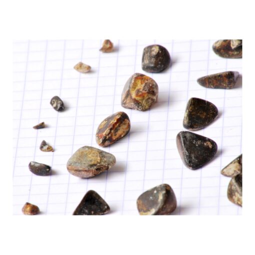Cow Gallstone