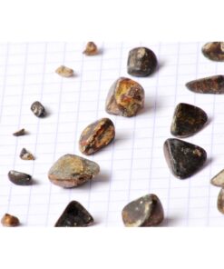 ox-gallstone